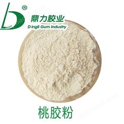厂家推荐桃胶粉 山东鼎力粉末状桃胶粉现货供应 用途广泛