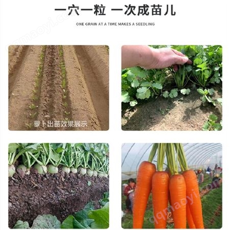 专业蔬菜绳播机 萝卜白菜种子编织机  蔬菜精量播种机报价