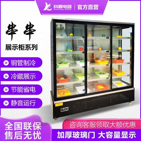 蔬菜水果保鲜柜定做 科晨 科晨蔬菜水果保鲜柜直销